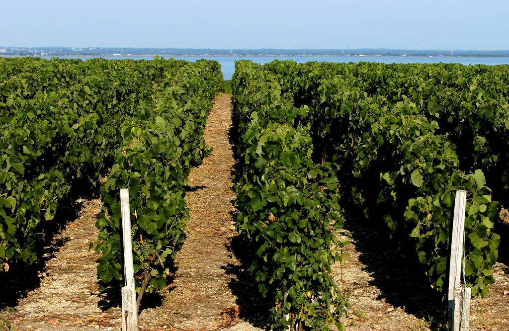 Vvf Soulac-Sur-Mer Bordeaux Medoc Zewnętrze zdjęcie